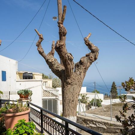 Maisonette In Roussa Ekklisia Sitia  Luaran gambar
